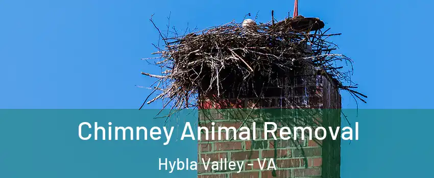  Chimney Animal Removal Hybla Valley - VA