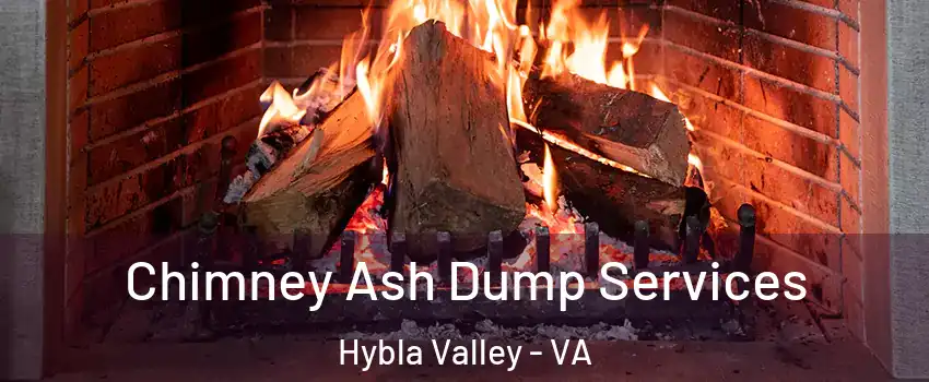  Chimney Ash Dump Services Hybla Valley - VA