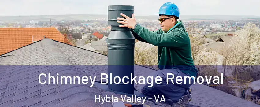  Chimney Blockage Removal Hybla Valley - VA