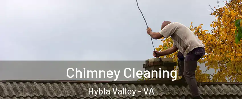  Chimney Cleaning Hybla Valley - VA