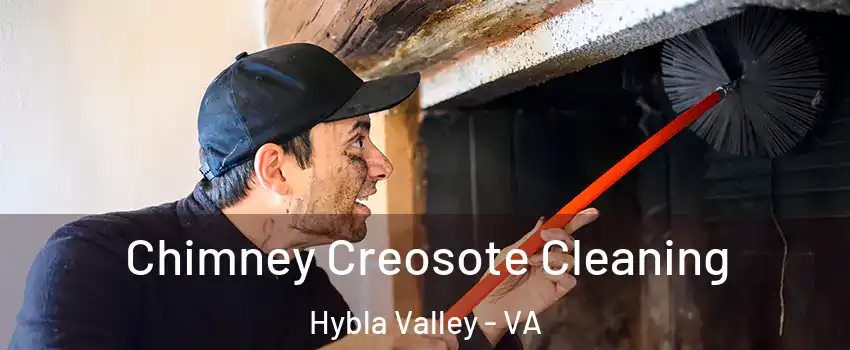  Chimney Creosote Cleaning Hybla Valley - VA