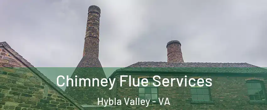  Chimney Flue Services Hybla Valley - VA