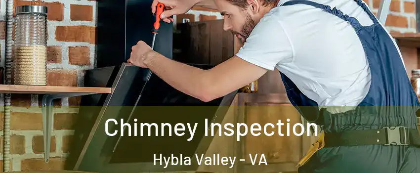  Chimney Inspection Hybla Valley - VA