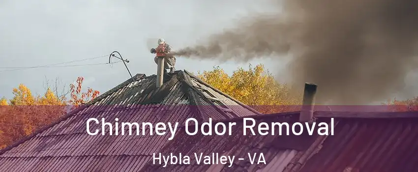 Chimney Odor Removal Hybla Valley - VA