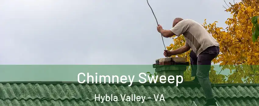  Chimney Sweep Hybla Valley - VA