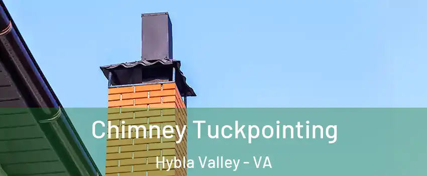  Chimney Tuckpointing Hybla Valley - VA