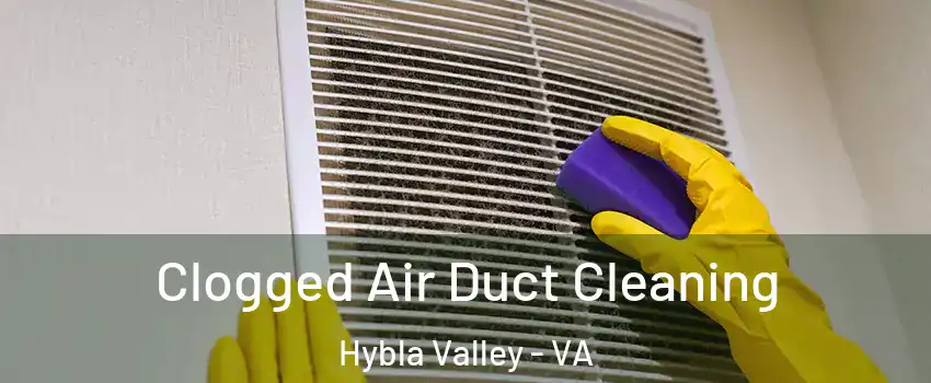 Clogged Air Duct Cleaning Hybla Valley - VA