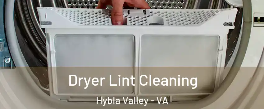  Dryer Lint Cleaning Hybla Valley - VA