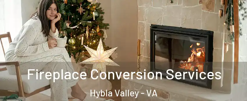  Fireplace Conversion Services Hybla Valley - VA