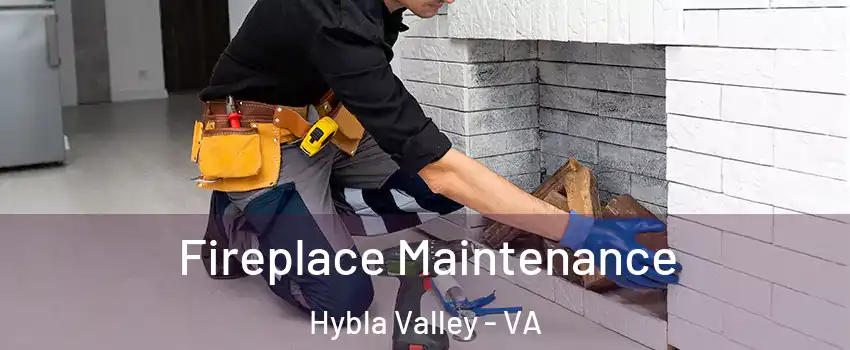  Fireplace Maintenance Hybla Valley - VA