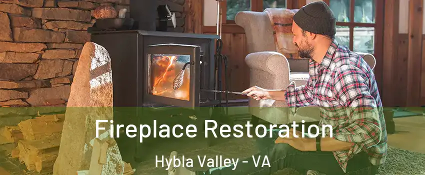  Fireplace Restoration Hybla Valley - VA