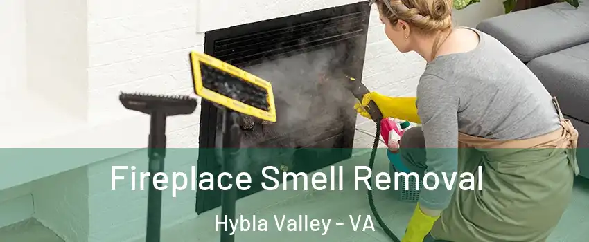  Fireplace Smell Removal Hybla Valley - VA