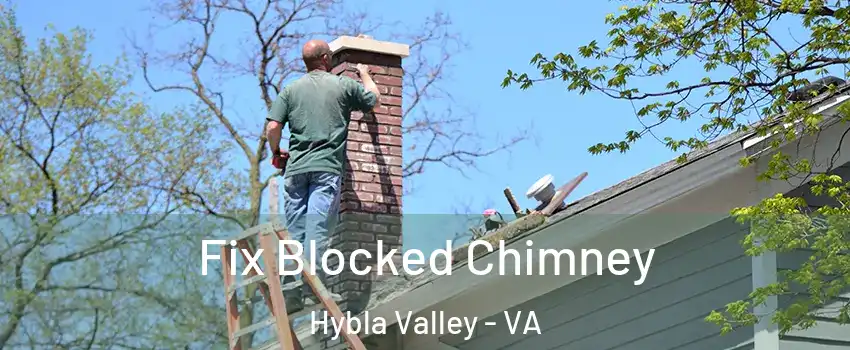  Fix Blocked Chimney Hybla Valley - VA