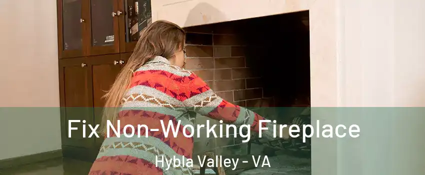  Fix Non-Working Fireplace Hybla Valley - VA