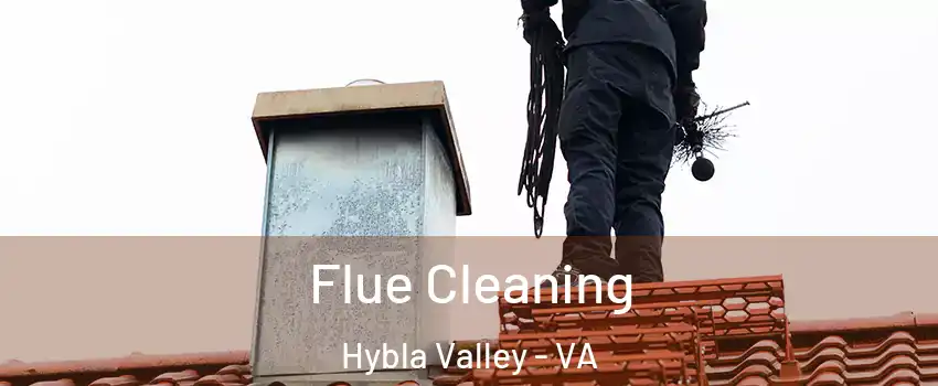 Flue Cleaning Hybla Valley - VA