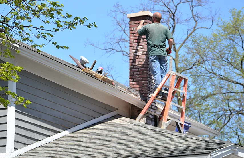 Chimney & Fireplace Inspections Services in Hybla Valley, VA