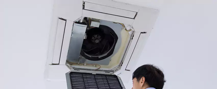 Benefits of Professional Air Duct Cleaning in Hybla Valley, Virginia