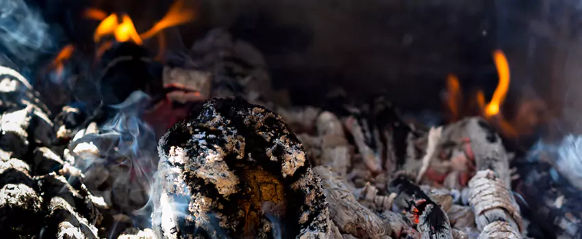 Creosote Removal Experts in Hybla Valley, VA