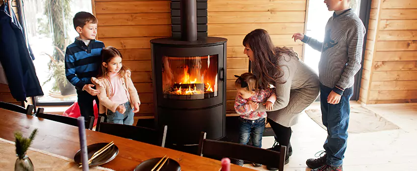 Jøtul Gas Fireplace Inspection Service in Hybla Valley, Virginia