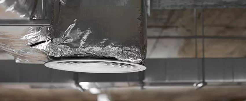 Signs of Dust Accumulation in Vents in Hybla Valley, VA