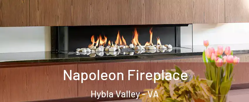  Napoleon Fireplace Hybla Valley - VA