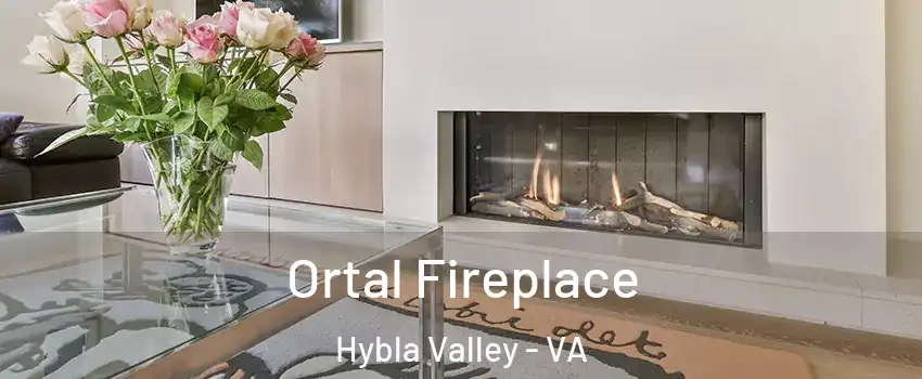 Ortal Fireplace Hybla Valley - VA