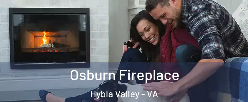  Osburn Fireplace Hybla Valley - VA
