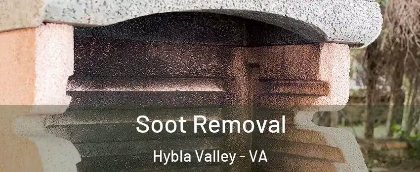  Soot Removal Hybla Valley - VA